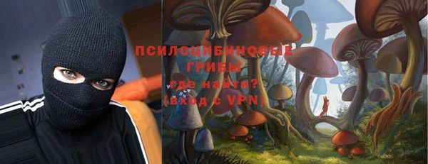 дурь Волоколамск