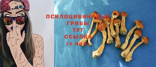 хмурый Волосово