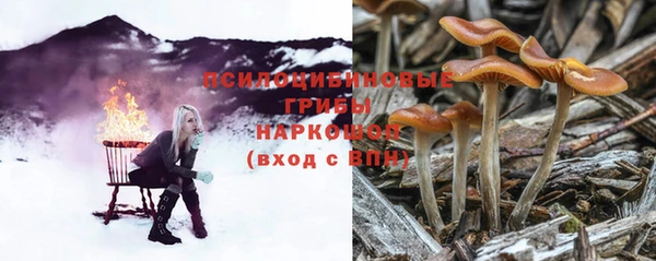 хмурый Волосово