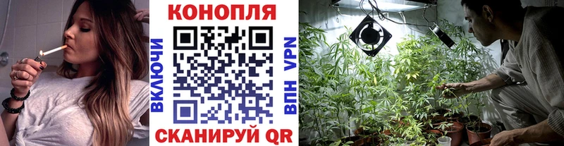 наркота  Лянтор  Шишки марихуана конопля 